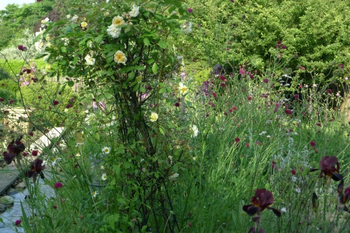 St Gemma's exquisite garden